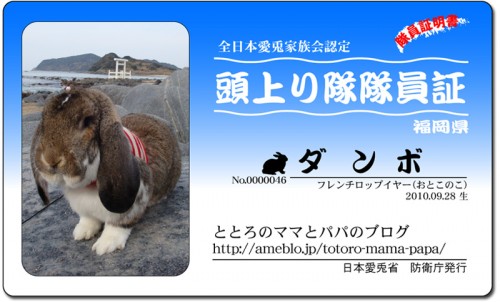 頭上り隊-ダンボ