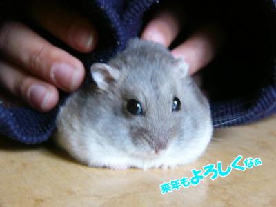 ぐーさんご挨拶