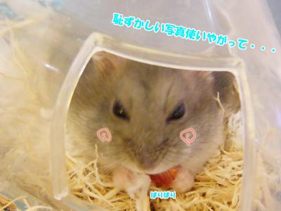 GOO丸見え02