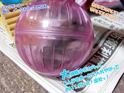 GOOボール