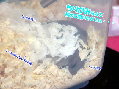 GOO潜る