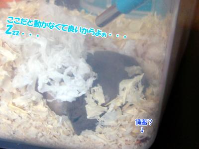 GOO潜る02