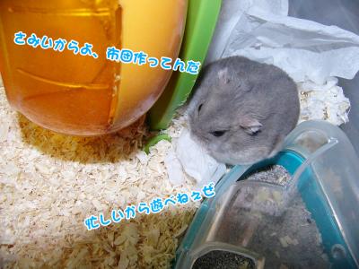 ぐーさん布団職人