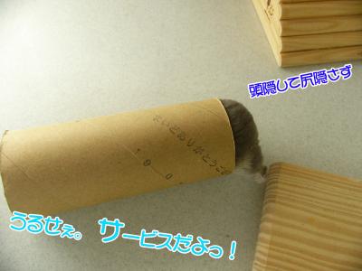 GOO砂浴び