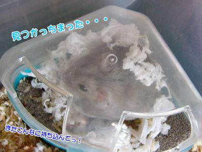 ぐーさん汚す