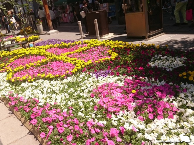 花回廊（須坂園芸高校）