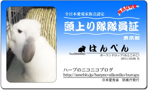 頭上がり隊-はんぺん