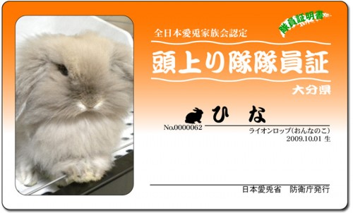 頭上がり隊-ひな