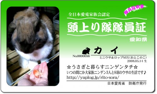 頭上がり隊-カイ