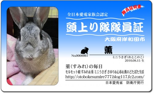 頭上がり隊-薫 頭上がり隊-薫