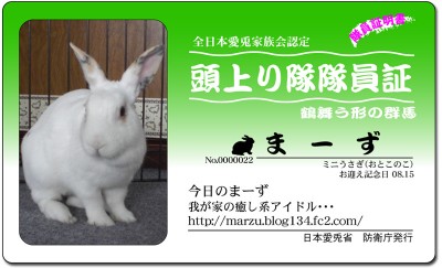 頭上り隊-まーず