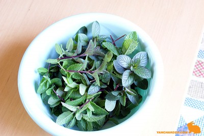 mint