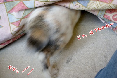 ぷりん後でね ぷりん後でね