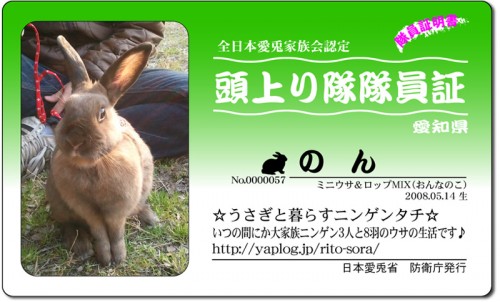 頭上がり隊-のん