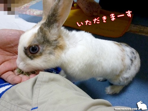 手からどうぞ
