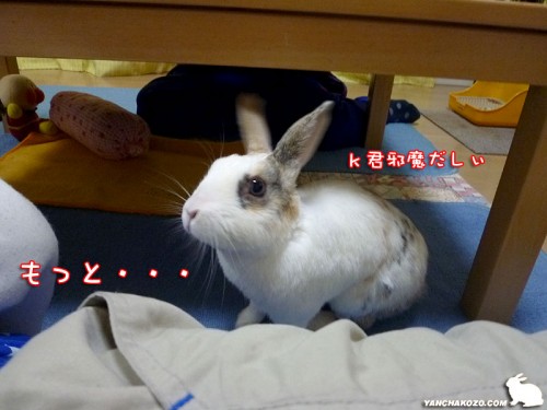 欲しいな