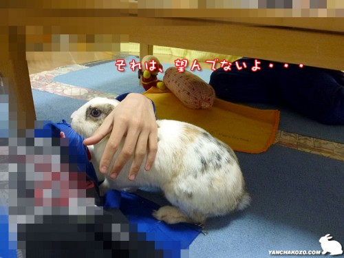 それ、違う