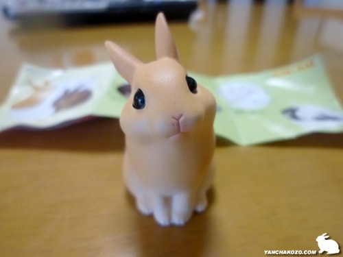 オレンジのネザー