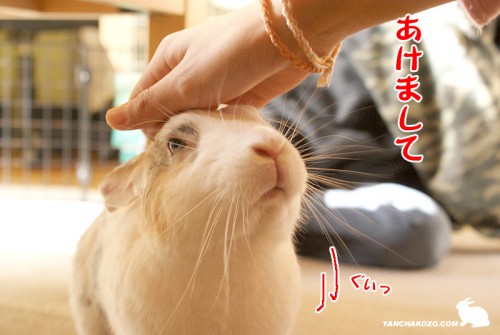 あけまして