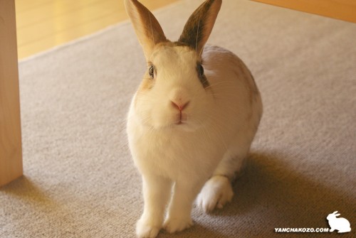 これからも・・・