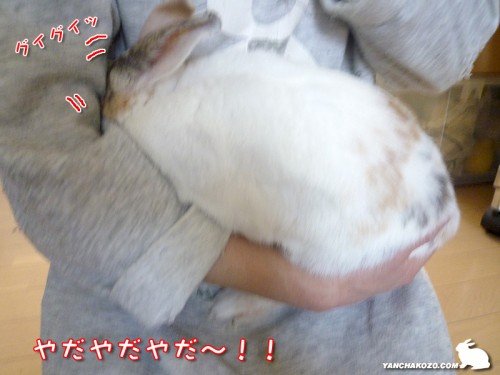 抱っこはイヤだ！