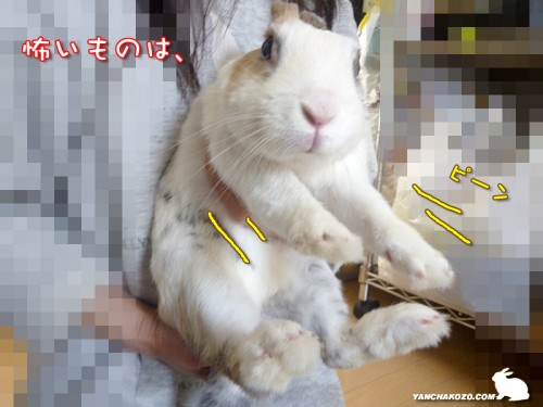 怖いものは・・・