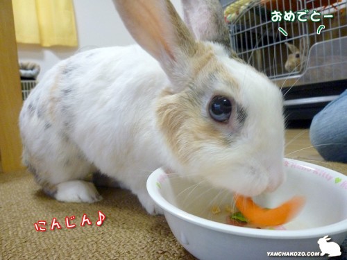 ちょこっぺもお祝い