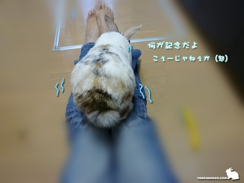 こぇーじゃねぇか