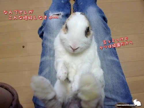 なんでオレが…