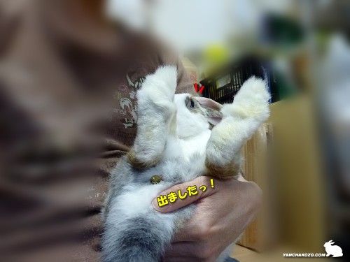 出ました！