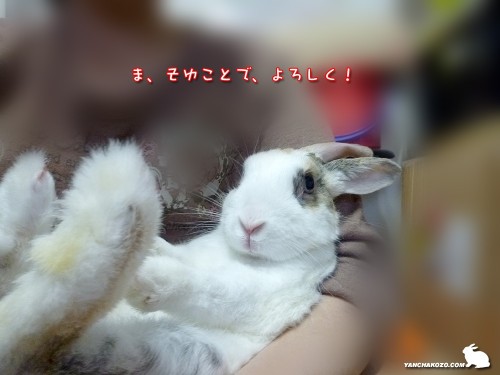 よろしく！