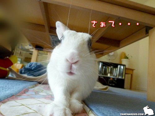さぁて・・・
