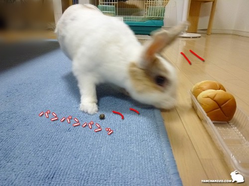 パンパンパンッ！