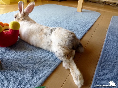 足は冷やす