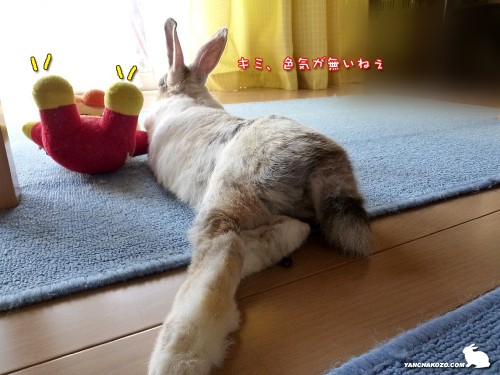 色気ねぇ