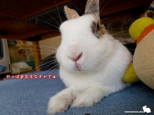 色気が無きゃさぁ