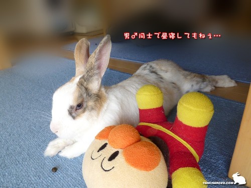 キミと寝てもねぇアンパンマン