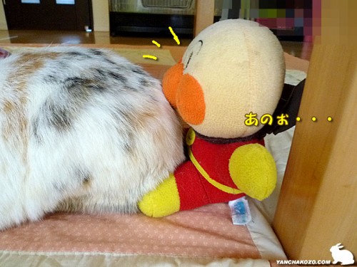 おケツと顔