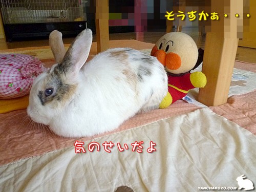 気のせいだよ
