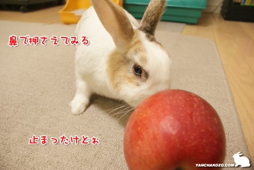鼻押さえ