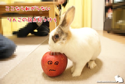 りんごの弱点?