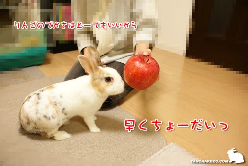 早くちょうだい!