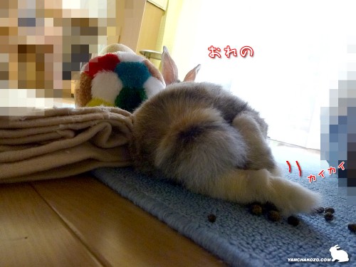 おれの