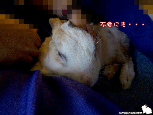 不覚にも・・・