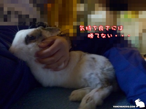 気持ち良さには勝てない