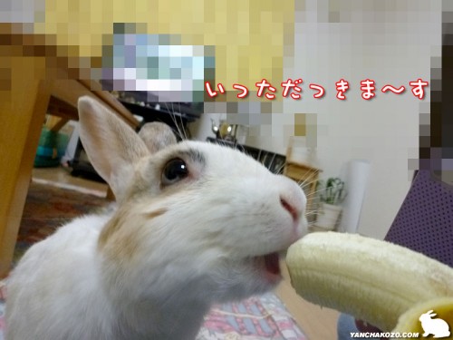 いっただっきます