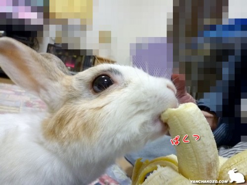 ぱくっとバナナ