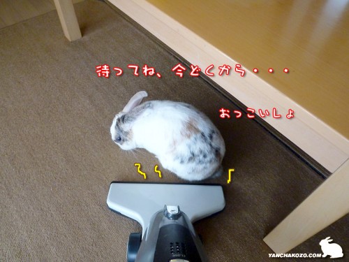 待ってね、退くから