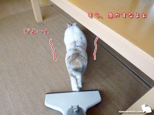 伸びして、やっと・・・