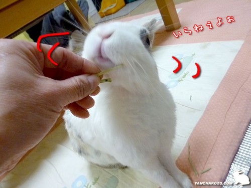 いらねー
